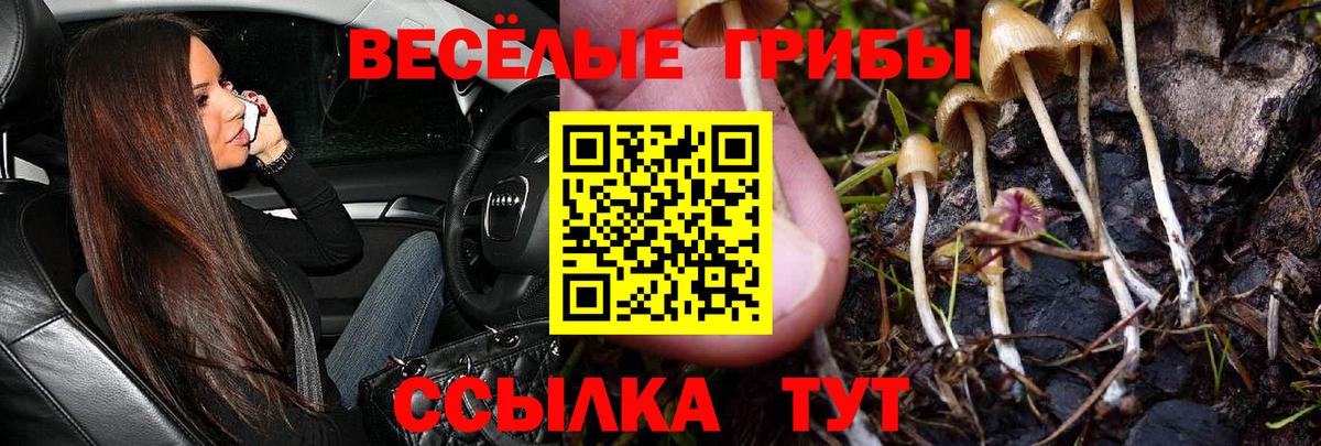 Таганрог  Псилоцибиновые грибы прущие грибы  Галлюциногенные грибы мицелий  Вход с VPN 